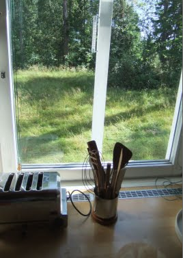 Finland kitchen view