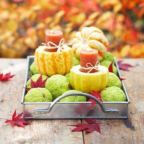 Thanksgiving centerpiece 3