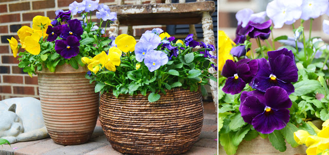 My Front Porch in Spring